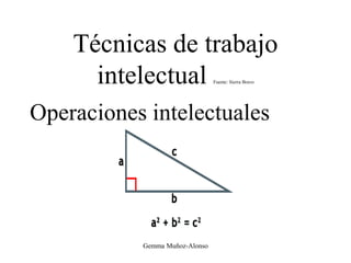 Técnicas de trabajo
intelectual Fuente: Sierra Bravo
Operaciones intelectuales
Gemma Muñoz-Alonso
 