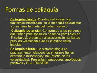 Formas de celiaquía
 Celiaquía clásica: Donde predominan los
trastornos intestinales, es la más fácil de detectar
y constituye la punta del iceberg celíaco.
 Celiaquía potencial: Comprende a las personas
que tienen predisposición genética (familiares en
1º celíacos), presentan alteraciones inmunitarias
pero las vellosidades de su intestino están
intactas.
 Celiaquía silente: La sintomatología es
prácticamente nula pero los enfermos tienen
alterada la mucosa yeyunal (atrofia en las
vellosidades). Presentan marcadores serológicos
positivos y HLA- DQ2/DQ8
 