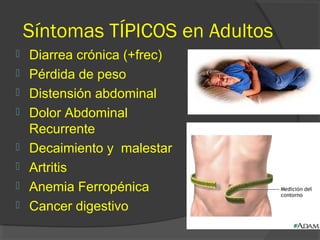 Síntomas TÍPICOS en Adultos
 Diarrea crónica (+frec)
 Pérdida de peso
 Distensión abdominal
 Dolor Abdominal
Recurrente
 Decaimiento y malestar
 Artritis
 Anemia Ferropénica
 Cancer digestivo
 