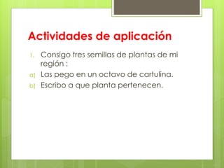 Actividades de aplicación
1. Consigo tres semillas de plantas de mi
región :
a) Las pego en un octavo de cartulina.
b) Escribo a que planta pertenecen.
 