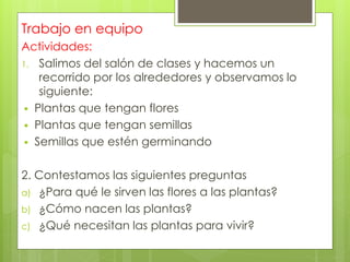 Trabajo en equipo
Actividades:
1. Salimos del salón de clases y hacemos un
recorrido por los alrededores y observamos lo
siguiente:
 Plantas que tengan flores
 Plantas que tengan semillas
 Semillas que estén germinando
2. Contestamos las siguientes preguntas
a) ¿Para qué le sirven las flores a las plantas?
b) ¿Cómo nacen las plantas?
c) ¿Qué necesitan las plantas para vivir?
 