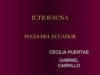 ICTIOFAUNAICTIOFAUNA
PECES DEL ECUADOR
CECILIA PUERTAS
GABRIEL
CARRILLO
 