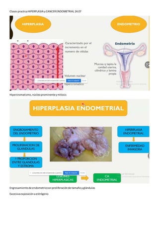 ClasespracticaHIPERPLASIA yCANCERENDOMETRIAL 24.07
Hipercromatismo,núcleoprominenteymitosis
Engrosamientode endometrioconproliferaciónde tamañoyglándulas
Excesivaexposiciónaestrógeno
 