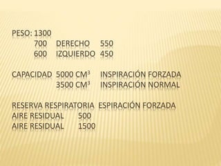 PESO: 1300
700 DERECHO 550
600 IZQUIERDO 450
CAPACIDAD 5000 CM3 INSPIRACIÓN FORZADA
3500 CM3 INSPIRACIÓN NORMAL
RESERVA RESPIRATORIA ESPIRACIÓN FORZADA
AIRE RESIDUAL 500
AIRE RESIDUAL 1500
 