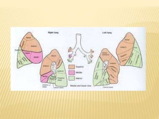 CLASES PULMONES.pptx
