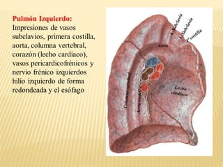 CLASES PULMONES.pptx