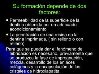 Su formación depende de dos factores: Permeabilidad de la superficie de la dentina obtenida por un adecuado acondicionamiento La penetración de una resina en la dentina imprimada. ( sin relleno o con relleno). Para que se pueda dar el fenómeno de hibridación es necesario, previamente que se produzca la fase de impregnación, mezcla, desarrollo de los enláces colágenos y la encapsulación de los cristales de hidroxiapatita. 