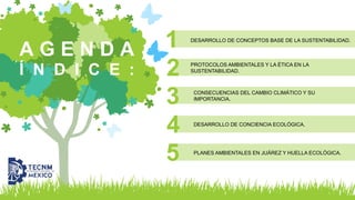 DESARROLLO DE CONCEPTOS BASE DE LA SUSTENTABILIDAD.
PROTOCOLOS AMBIENTALES Y LA ÉTICA EN LA
SUSTENTABILIDAD.
CONSECUENCIAS DEL CAMBIO CLIMÁTICO Y SU
IMPORTANCIA.
DESARROLLO DE CONCIENCIA ECOLÓGICA.
PLANES AMBIENTALES EN JUÁREZ Y HUELLA ECOLÓGICA.
A G E N D A
Í N D I C E :
 