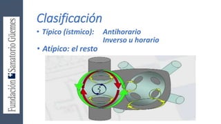 Clasificación
• Típico (ístmico): Antihorario
Inverso u horario
• Atípico: el resto
 