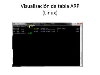 Visualización de tabla ARP
(Linux)

 