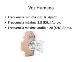 Voz Humana
• Frecuencia mínima 20 [Hz] Aprox.
• Frecuencia máxima 3.8 [KHz] Aprox.
• Frecuencia máxima audible 20 [KHz] Aprox.

 