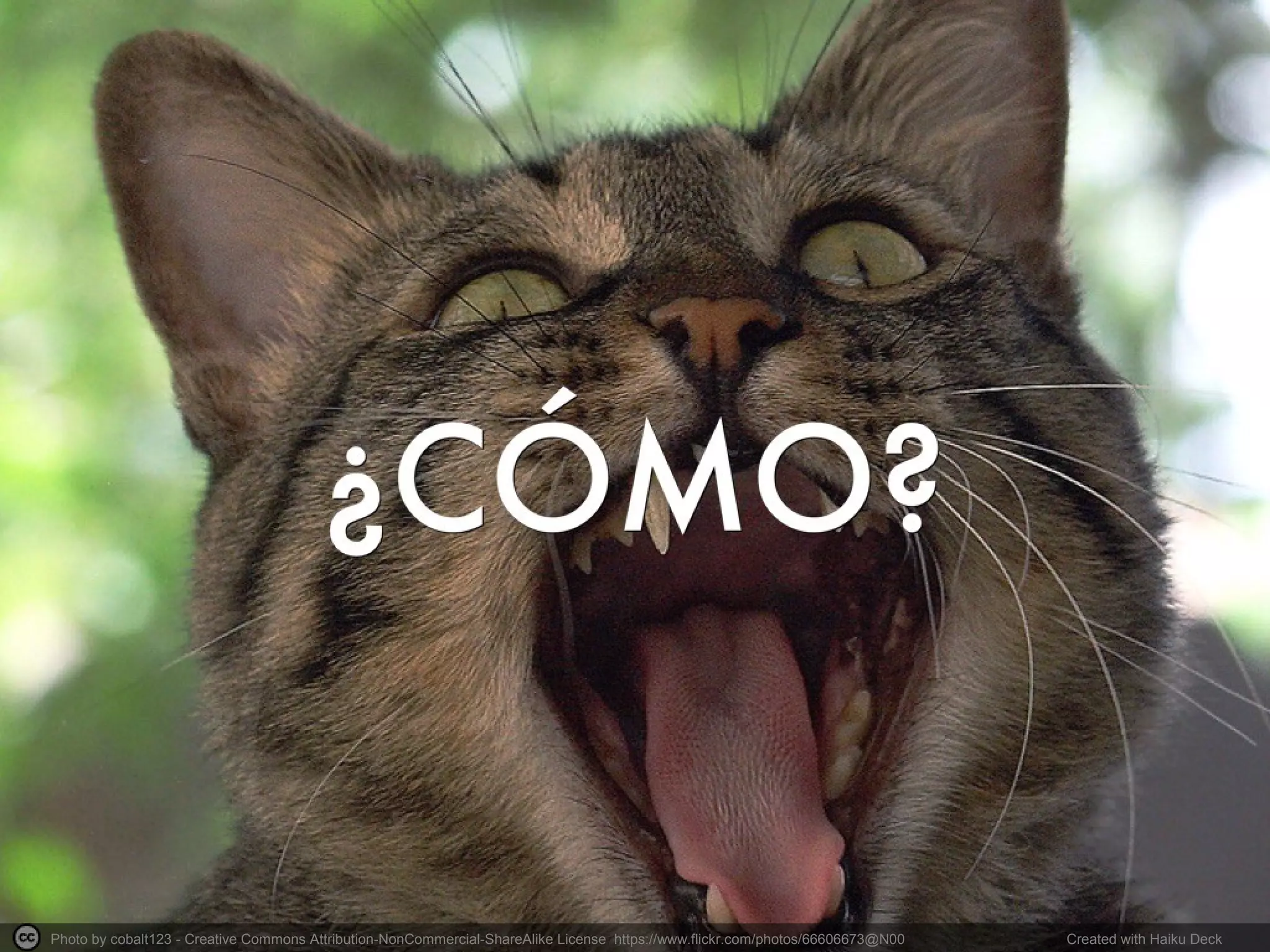 Photo by cobalt123 - Creative Commons Attribution-NonCommercial-ShareAlike License https://www.flickr.com/photos/66606673@N00 Created with Haiku Deck
 