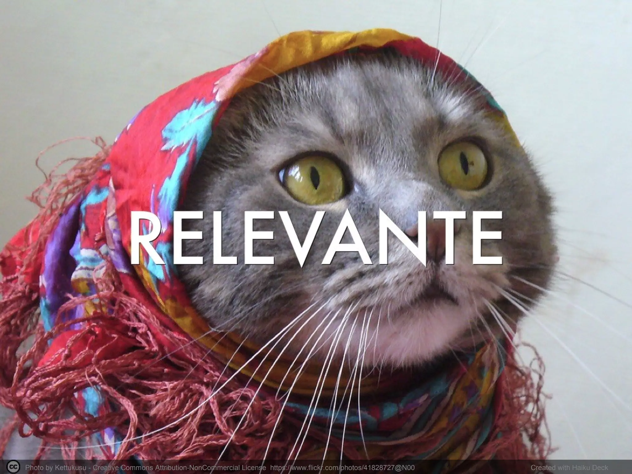 Photo by Kettukusu - Creative Commons Attribution-NonCommercial License https://www.flickr.com/photos/41828727@N00 Created with Haiku Deck
 