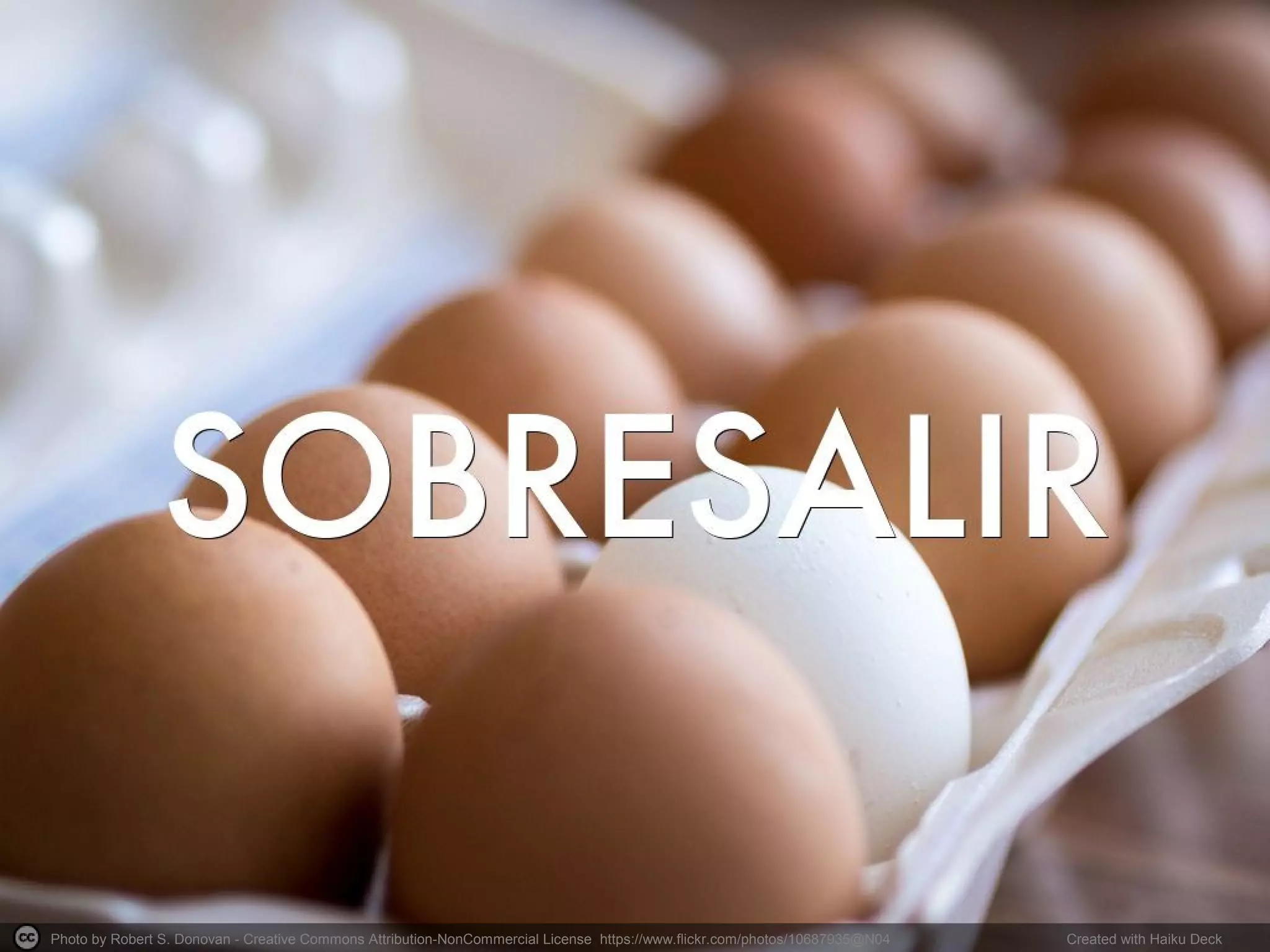 Photo by Robert S. Donovan - Creative Commons Attribution-NonCommercial License https://www.flickr.com/photos/10687935@N04 Created with Haiku Deck
 