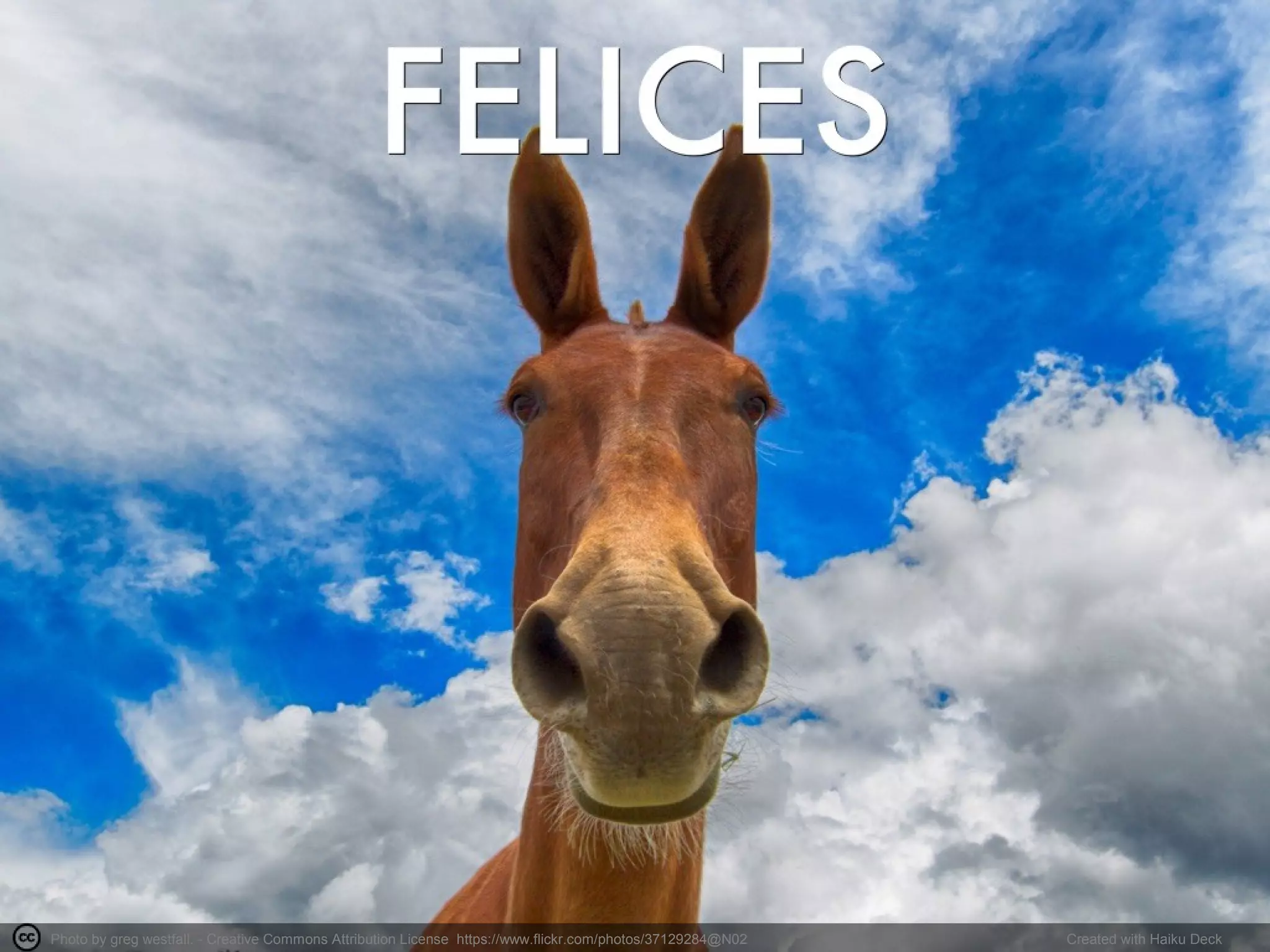 Photo by greg westfall. - Creative Commons Attribution License https://www.flickr.com/photos/37129284@N02 Created with Haiku Deck
 