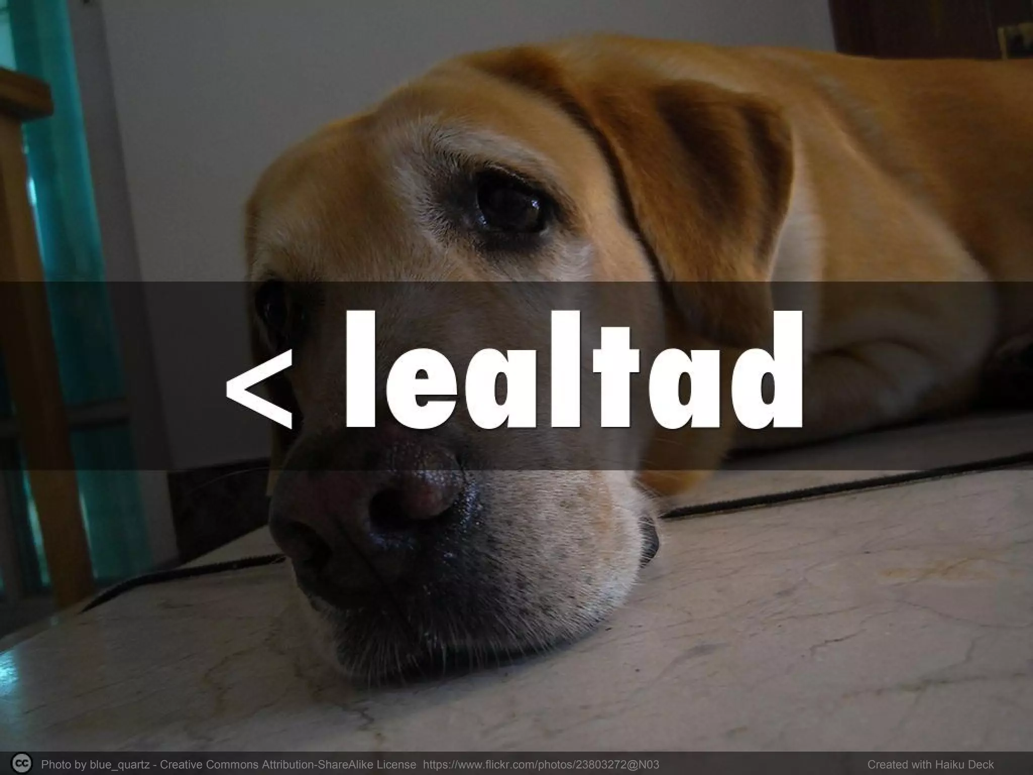 Photo by blue_quartz - Creative Commons Attribution-ShareAlike License https://www.flickr.com/photos/23803272@N03 Created with Haiku Deck
 