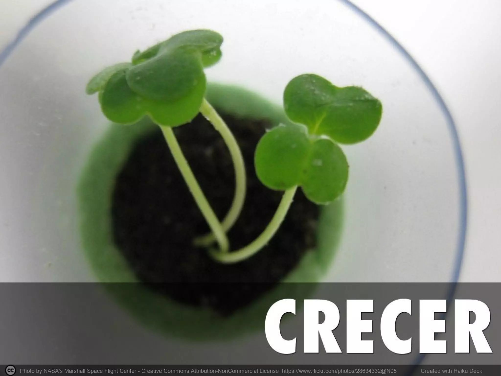 Photo by NASA's Marshall Space Flight Center - Creative Commons Attribution-NonCommercial License https://www.flickr.com/photos/28634332@N05 Created with Haiku Deck
 