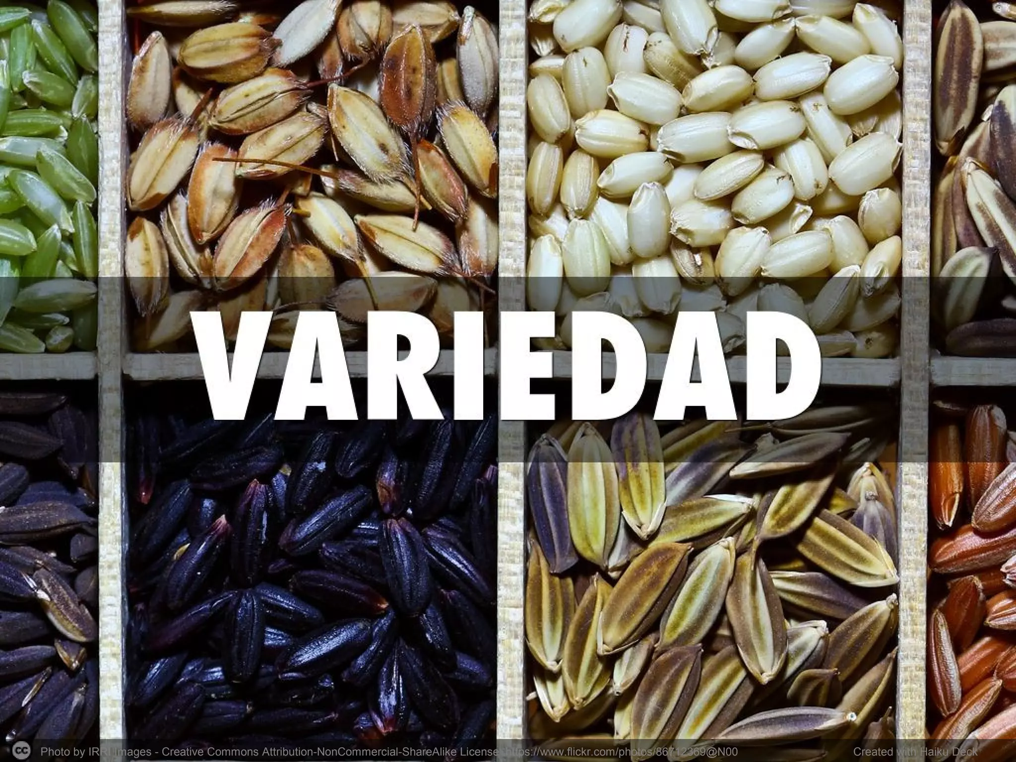 Photo by IRRI Images - Creative Commons Attribution-NonCommercial-ShareAlike License https://www.flickr.com/photos/86712369@N00 Created with Haiku Deck
 