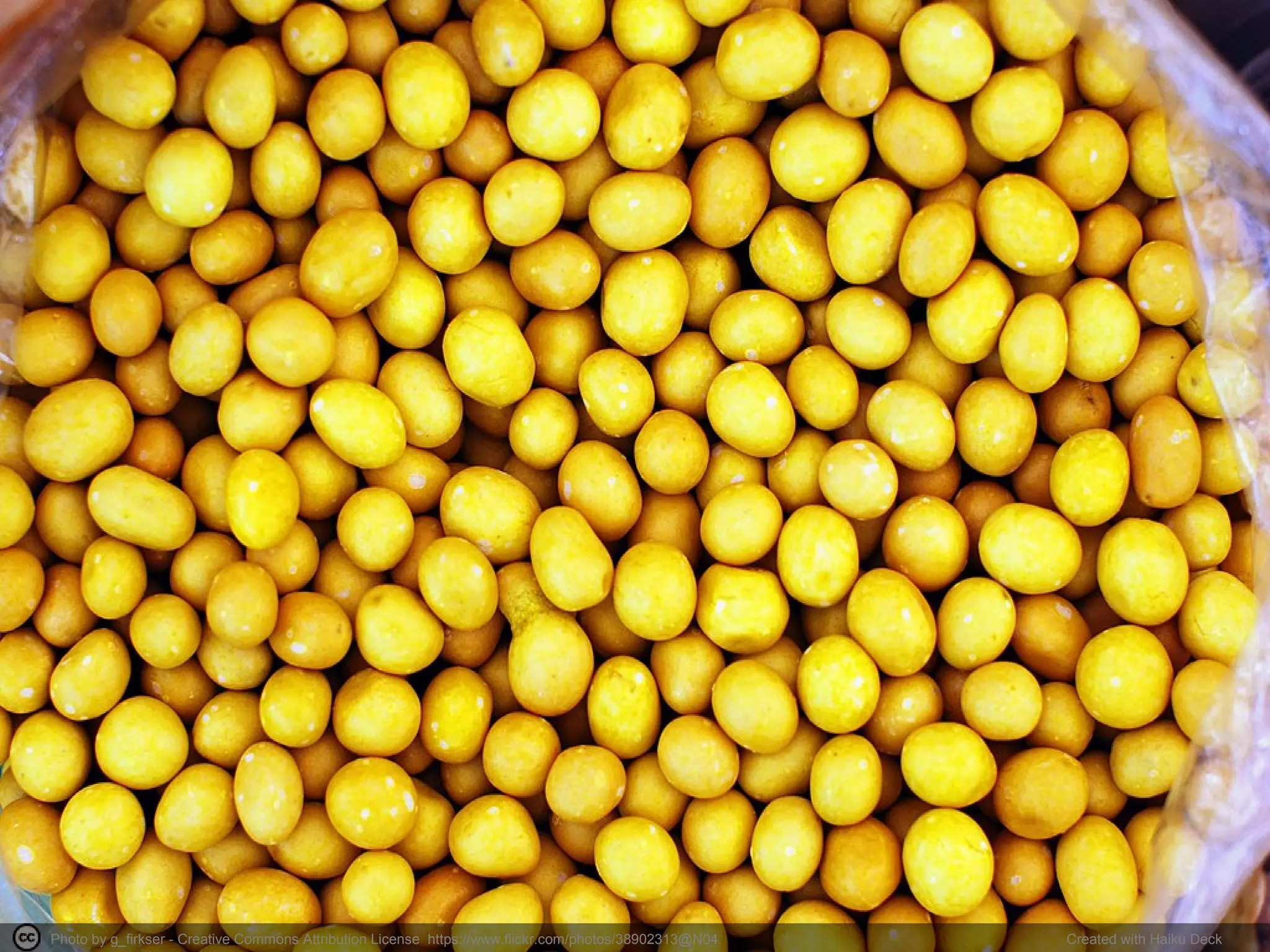 Photo by g_firkser - Creative Commons Attribution License https://www.flickr.com/photos/38902313@N04 Created with Haiku Deck
 