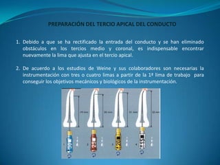 PREPARACIÓN DEL TERCIO APICAL DEL CONDUCTO

1. Debido a que se ha rectificado la entrada del conducto y se han eliminado
   obstáculos en los tercios medio y coronal, es indispensable encontrar
   nuevamente la lima que ajusta en el tercio apical.

2. De acuerdo a los estudios de Weine y sus colaboradores son necesarias la
   instrumentación con tres o cuatro limas a partir de la 1ª lima de trabajo para
   conseguir los objetivos mecánicos y biológicos de la instrumentación.
 