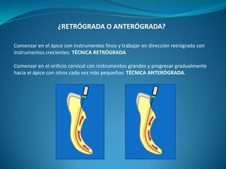 ¿RETRÓGRADA O ANTERÓGRADA?

Comenzar en el ápice con instrumentos finos y trabajar en dirección retrógrada con
instrumentos crecientes: TÉCNICA RETRÓGRADA

Comenzar en el orificio cervical con instrumentos grandes y progresar gradualmente
hacia el ápice con otros cada vez más pequeños: TÉCNICA ANTERÓGRADA.
 