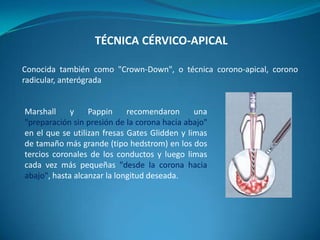 TÉCNICA CÉRVICO-APICAL

Conocida también como "Crown-Down", o técnica corono-apical, corono
radicular, anterógrada


Marshall     y    Pappin     recomendaron      una
"preparación sin presión de la corona hacia abajo"
en el que se utilizan fresas Gates Glidden y limas
de tamaño más grande (tipo hedstrom) en los dos
tercios coronales de los conductos y luego limas
cada vez más pequeñas "desde la corona hacia
abajo", hasta alcanzar la longitud deseada.
 
