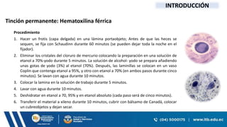 CLASES TECNICAS PARASITOLOGICA_2_3 (1) (1).pptx