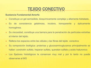 TEJIDO CONECTIVO
Sustancia Fundamental Amorfa
 Constituye un gel semisólido, bioquímicamente complejo y altamente hidratado.
 Es de consistencia gelatinosa, incolora, transparente y ópticamente
homogénea.
 Su viscosidad, constituye una barrera para la penetración de partículas extrañas
al interior del tejido.
 Rellena los espacios entre las células y las fibras del tejido conectivo
 Su composición biológica: proteínas y glucosaminuglucanos principalmente se
hallan: condroitin sulfato, heparan sulfato, queratan sulfato y acido hialuronico
 Los fijadores histológicos la conservan muy mal y por lo tanto no puede
observarse al MO
 