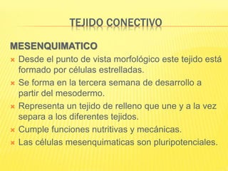 TEJIDO CONECTIVO
MESENQUIMATICO
 Desde el punto de vista morfológico este tejido está
formado por células estrelladas.
 Se forma en la tercera semana de desarrollo a
partir del mesodermo.
 Representa un tejido de relleno que une y a la vez
separa a los diferentes tejidos.
 Cumple funciones nutritivas y mecánicas.
 Las células mesenquimaticas son pluripotenciales.
 