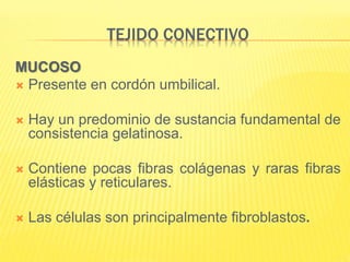 TEJIDO CONECTIVO
MUCOSO
 Presente en cordón umbilical.
 Hay un predominio de sustancia fundamental de
consistencia gelatinosa.
 Contiene pocas fibras colágenas y raras fibras
elásticas y reticulares.
 Las células son principalmente fibroblastos.
 