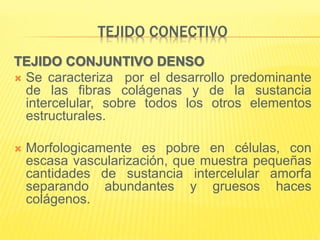 TEJIDO CONECTIVO
TEJIDO CONJUNTIVO DENSO
 Se caracteriza por el desarrollo predominante
de las fibras colágenas y de la sustancia
intercelular, sobre todos los otros elementos
estructurales.
 Morfologicamente es pobre en células, con
escasa vascularización, que muestra pequeñas
cantidades de sustancia intercelular amorfa
separando abundantes y gruesos haces
colágenos.
 
