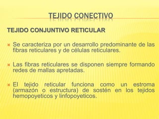 TEJIDO CONECTIVO
TEJIDO CONJUNTIVO RETICULAR
 Se caracteriza por un desarrollo predominante de las
fibras reticulares y de células reticulares.
 Las fibras reticulares se disponen siempre formando
redes de mallas apretadas.
 El tejido reticular funciona como un estroma
(armazón o estructura) de sostén en los tejidos
hemopoyeticos y linfopoyeticos.
 