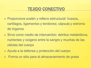 TEJIDO CONECTIVO
 Proporciona sostén y relleno estructural: huesos,
cartílagos, ligamentos y tendones; cápsula y estroma
de órganos
 Sirve como medio de intercambio: detritus metabólicos,
nutrientes y oxígeno entre la sangre y muchas de las
células del cuerpo
 Ayuda a la defensa y protección del cuerpo
 Forma un sitio para el almacenamiento de grasa
 