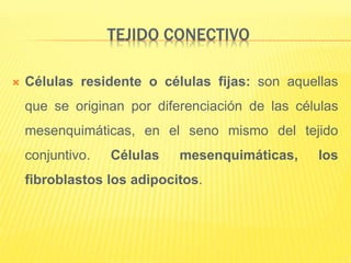 TEJIDO CONECTIVO
 Células residente o células fijas: son aquellas
que se originan por diferenciación de las células
mesenquimáticas, en el seno mismo del tejido
conjuntivo. Células mesenquimáticas, los
fibroblastos los adipocitos.
 