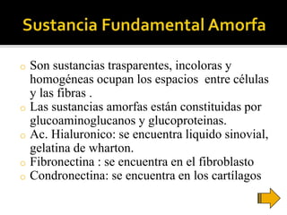 o Son sustancias trasparentes, incoloras y
homogéneas ocupan los espacios entre células
y las fibras .
o Las sustancias amorfas están constituidas por
glucoaminoglucanos y glucoproteinas.
o Ac. Hialuronico: se encuentra liquido sinovial,
gelatina de wharton.
o Fibronectina : se encuentra en el fibroblasto
o Condronectina: se encuentra en los cartílagos
 
