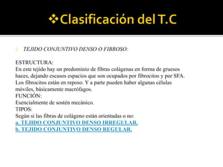 2. TEJIDO CONJUNTIVO DENSO O FIBROSO:
ESTRUCTURA:
En este tejido hay un predominio de fibras colágenas en forma de gruesos
haces, dejando escasos espacios que son ocupados por fibrocitos y por SFA.
Los fibrocitos están en reposo. Y a parte pueden haber algunas células
móviles, básicamente macrófagos.
FUNCIÓN:
Esencialmente de sostén mecánico.
TIPOS:
Según si las fibras de colágeno están orientadas o no:
a. TEJIDO CONJUNTIVO DENSO IRREGULAR.
b. TEJIDO CONJUNTIVO DENSO REGULAR.
 