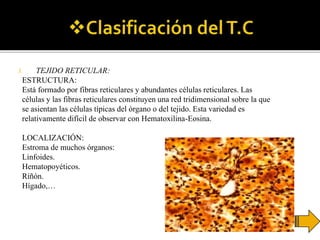 3. TEJIDO RETICULAR:
ESTRUCTURA:
Está formado por fibras reticulares y abundantes células reticulares. Las
células y las fibras reticulares constituyen una red tridimensional sobre la que
se asientan las células típicas del órgano o del tejido. Esta variedad es
relativamente difícil de observar con Hematoxilina-Eosina.
LOCALIZACIÓN:
Estroma de muchos órganos:
Linfoides.
Hematopoyéticos.
Riñón.
Hígado,…
 