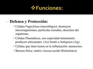 o Defensa y Protección:
Células Fagocíticas (macrófagos): destruyen
microorganismos, partículas extrañas, desechos del
organismo.
Células Plasmáticas, con capacidad inmunitaria:
producen anticuerpos (Ac) frente a Antígenos (Ag).
Células que intervienen en la inflamación: mastocitos.
Barrera física: matriz viscosa (acido Hialurónico)
 