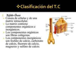 2. Tejido Óseo
 Consta de células y de una
matriz intracelular.
 La matriz contiene
componentes orgánicos e
inorgánicos.
 Los componentes orgánicos
son fibras colágenas.
 Los componentes inorgánicos
son fosfato de calcio, carbonato
de calcio, fluoruro de calcio,
magnesio y sulfato de calcio.
 
