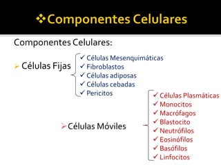 Componentes Celulares:
 Células Fijas
Células Móviles
 Células Mesenquimáticas
 Fibroblastos
 Células adiposas
 Células cebadas
 Pericitos  Células Plasmáticas
 Monocitos
 Macrófagos
 Blastocito
 Neutrófilos
 Eosinófilos
 Basófilos
 Linfocitos
 