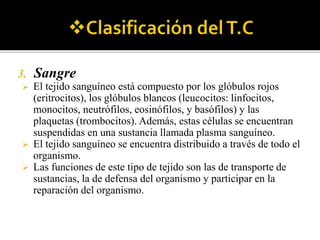 3. Sangre
 El tejido sanguíneo está compuesto por los glóbulos rojos
(eritrocitos), los glóbulos blancos (leucocitos: linfocitos,
monocitos, neutrófilos, eosinófilos, y basófilos) y las
plaquetas (trombocitos). Además, estas células se encuentran
suspendidas en una sustancia llamada plasma sanguíneo.
 El tejido sanguíneo se encuentra distribuido a través de todo el
organismo.
 Las funciones de este tipo de tejido son las de transporte de
sustancias, la de defensa del organismo y participar en la
reparación del organismo.
 