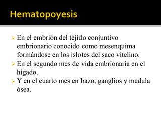  En el embrión del tejido conjuntivo
embrionario conocido como mesenquima
formándose en los islotes del saco vitelino.
 En el segundo mes de vida embrionaria en el
hígado.
 Y en el cuarto mes en bazo, ganglios y medula
ósea.
 