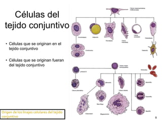 8
Células del
tejido conjuntivo
• Células que se originan en el
tejido conjuntivo
• Células que se originan fueran
del tejido conjuntivo
 