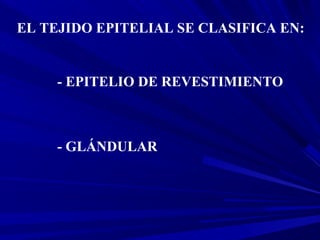 EL TEJIDO EPITELIAL SE CLASIFICA EN:
- EPITELIO DE REVESTIMIENTO
- GLÁNDULAR
 