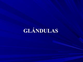 GLÁNDULAS
 
