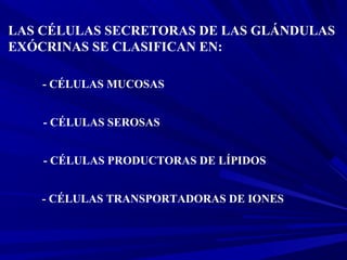 LAS CÉLULAS SECRETORAS DE LAS GLÁNDULAS
EXÓCRINAS SE CLASIFICAN EN:
- CÉLULAS MUCOSAS
- CÉLULAS SEROSAS
- CÉLULAS PRODUCTORAS DE LÍPIDOS
- CÉLULAS TRANSPORTADORAS DE IONES
 