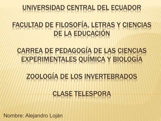 UNIVERSIDAD CENTRAL DEL ECUADOR
FACULTAD DE FILOSOFÍA, LETRAS Y CIENCIAS
DE LA EDUCACIÓN
CARREA DE PEDAGOGÍA DE LAS CIENCIAS
EXPERIMENTALES QUÍMICA Y BIOLOGÍA
ZOOLOGÍA DE LOS INVERTEBRADOS
CLASE TELESPORA
Nombre: Alejandro Loján
 