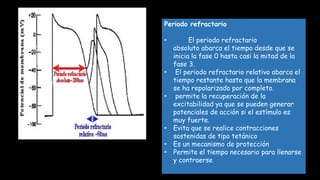 Periodo refractario
• El periodo refractario
absoluto abarca el tiempo desde que se
inicia la fase 0 hasta casi la mitad de la
fase 3.
• El periodo refractario relativo abarca el
tiempo restante hasta que la membrana
se ha repolarizado por completo.
• permite la recuperación de la
excitabilidad ya que se pueden generar
potenciales de acción si el estímulo es
muy fuerte.
• Evita que se realice contracciones
sostenidas de tipo tetánico
• Es un mecanismo de protección
• Permite el tiempo necesario para llenarse
y contraerse
 