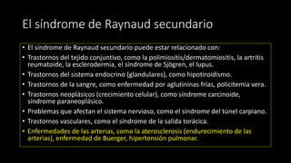 El síndrome de Raynaud secundario
• El síndrome de Raynaud secundario puede estar relacionado con:
• Trastornos del tejido conjuntivo, como la polimiositis/dermatomiositis, la artritis
reumatoide, la esclerodermia, el síndrome de Sjögren, el lupus.
• Trastornos del sistema endocrino (glandulares), como hipotiroidismo.
• Trastornos de la sangre, como enfermedad por aglutininas frías, policitemia vera.
• Trastornos neoplásicos (crecimiento celular), como síndrome carcinoide,
síndrome paraneoplásico.
• Problemas que afectan el sistema nervioso, como el síndrome del túnel carpiano.
• Trastornos vasculares, como el síndrome de la salida torácica.
• Enfermedades de las arterias, como la aterosclerosis (endurecimiento de las
arterias), enfermedad de Buerger, hipertensión pulmonar.
 