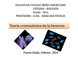 EDUCATIVA COLEGIO IBERO AMERICANO
CÁTEDRA : BIOLOGÍA
Grado : 3ero
PROFESORA : LCDA. ANGELINA RINALDI
Teoría cromosómica de la herencia
Puerto Ordaz ,Febrero 2014
 